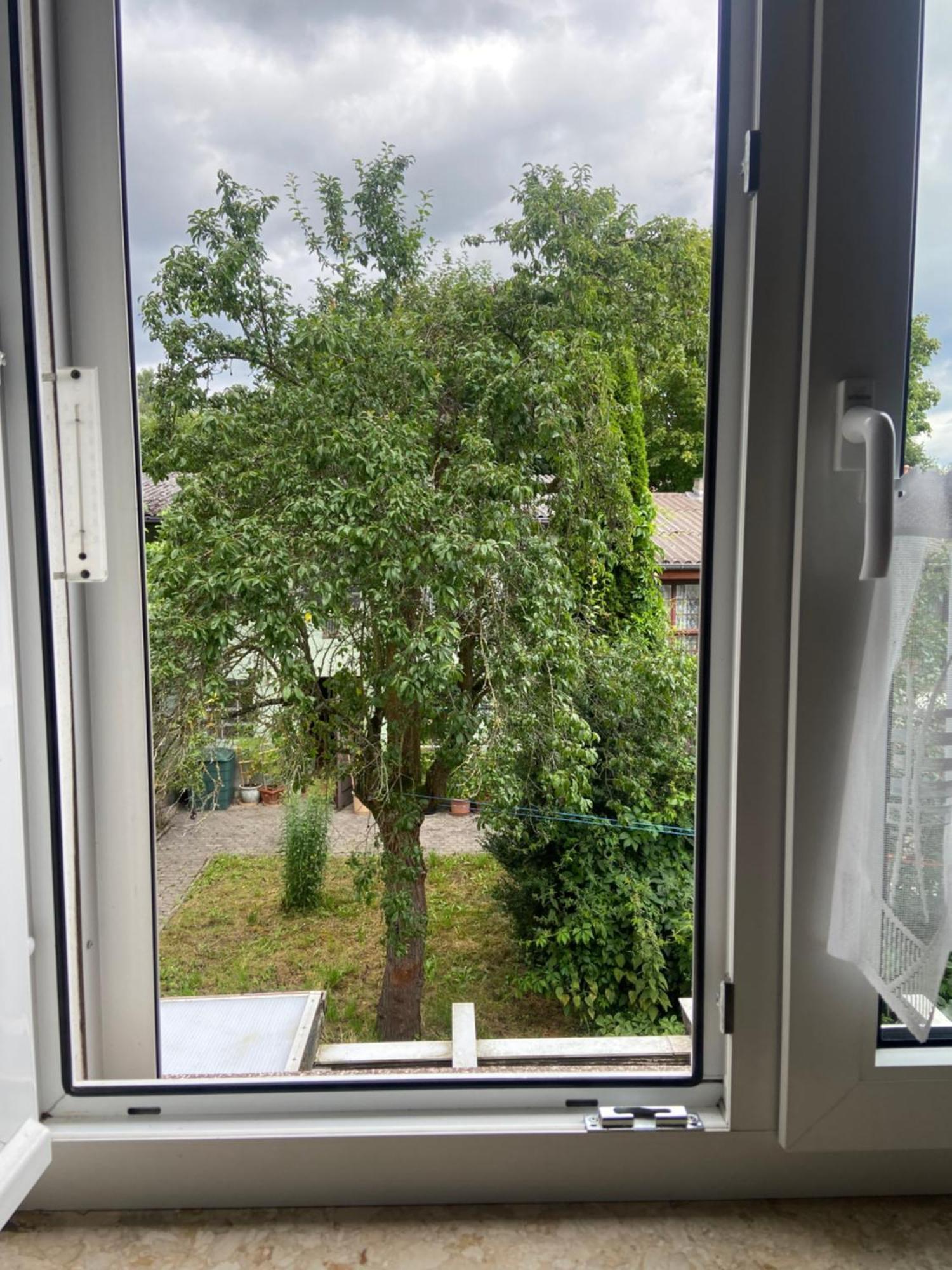 Stadtzentrumnahe Wohnung An Der Gruenen Aue, Kostenfreier Parkplatz Fulda Exteriör bild